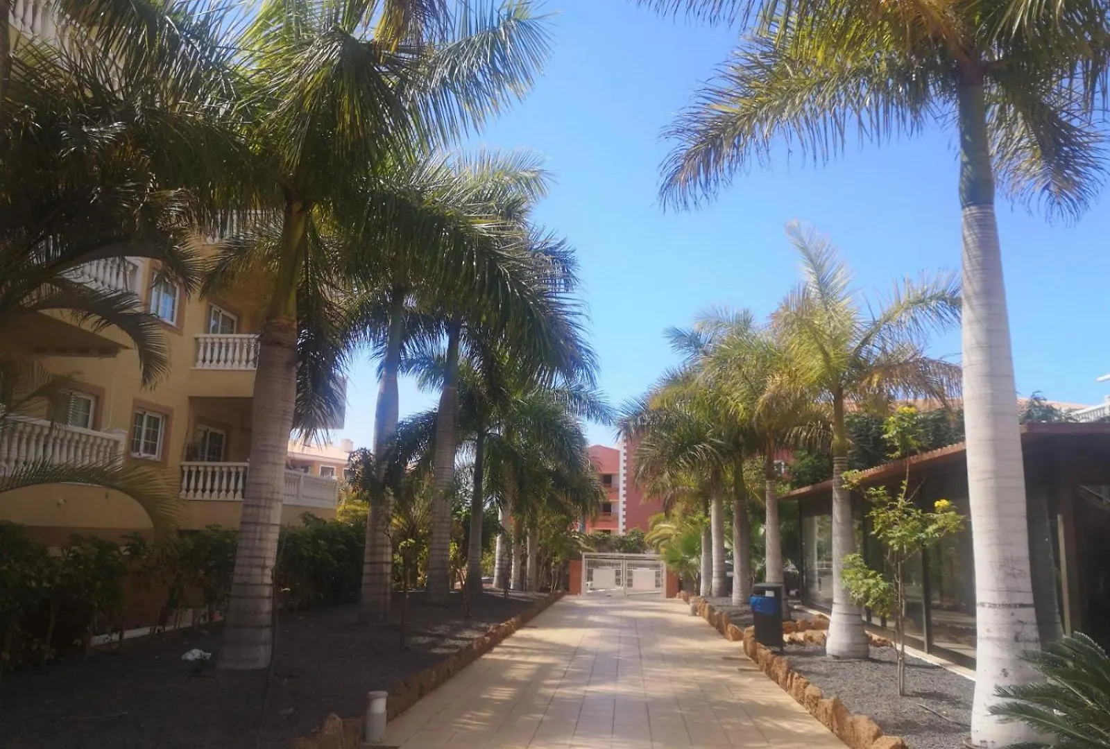 Appartement Renove 2 Chambres, Grande Terrasse S-O, Parking Prive Palm-mar Espagne
